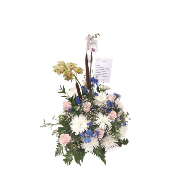 Diseño floral condolencias con planta de orquídeas phalenopsys y complementos.